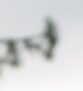 Xorp